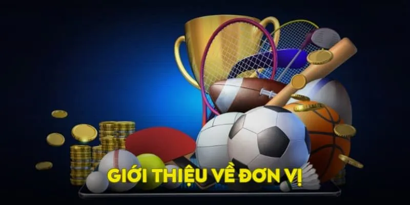 Tổng quan về đơn vị