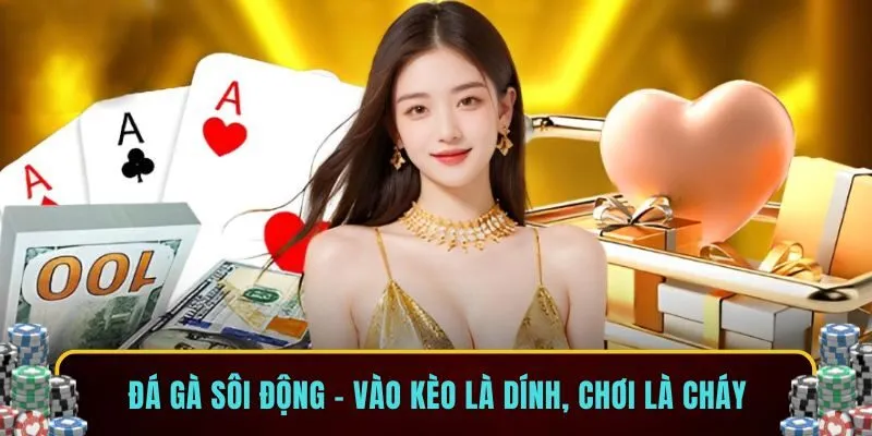 Đá gà sôi động – Vào kèo là dính, chơi là cháy