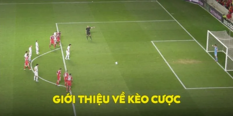 Thông tin về kèo cược